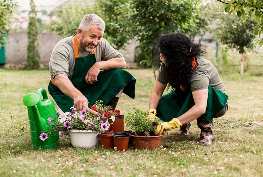 Gardening and Landscaping